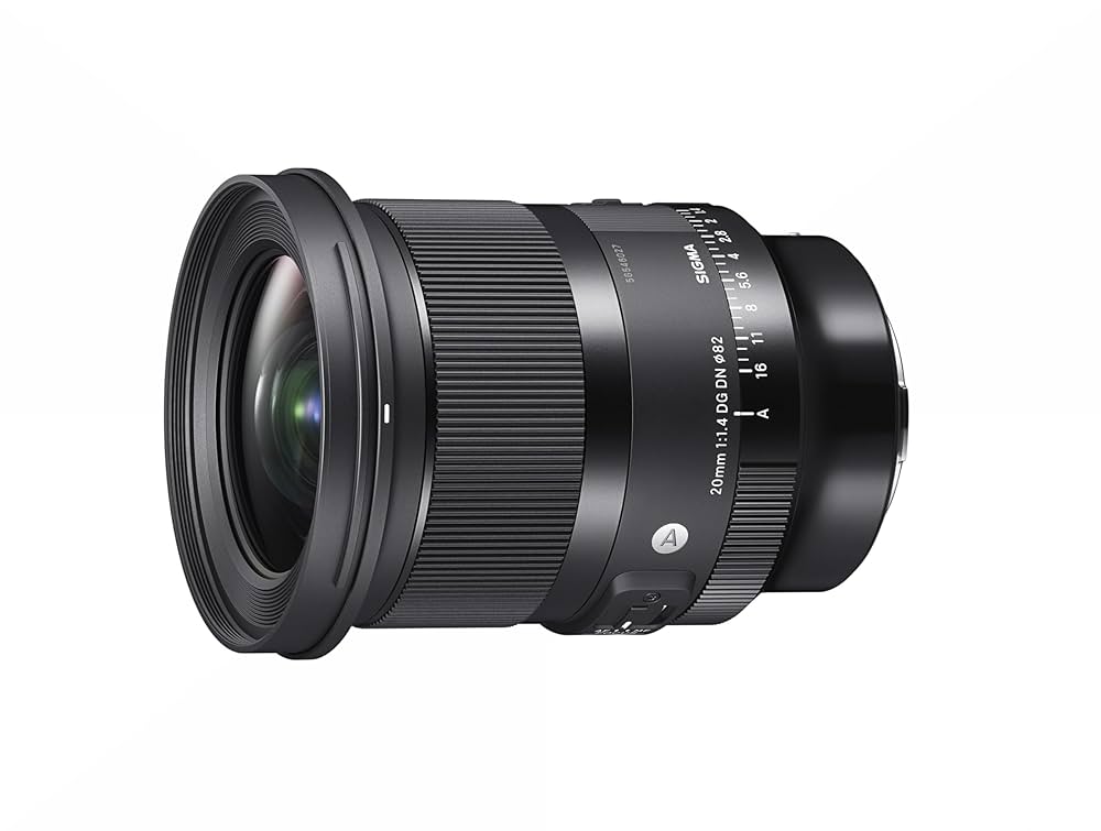 SIGMA - ☆美品☆SIGMA 20mm F1.4 （ニコン用） Amazon.co.jp: SIGMA 20mm F1.4 DG DN Lマウント : 家電＆カメラ